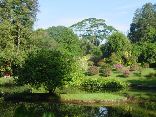 Henerathgoda Botanical Garden