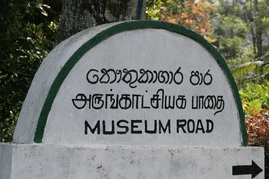 Tea Plantation Workers Museum and Archive