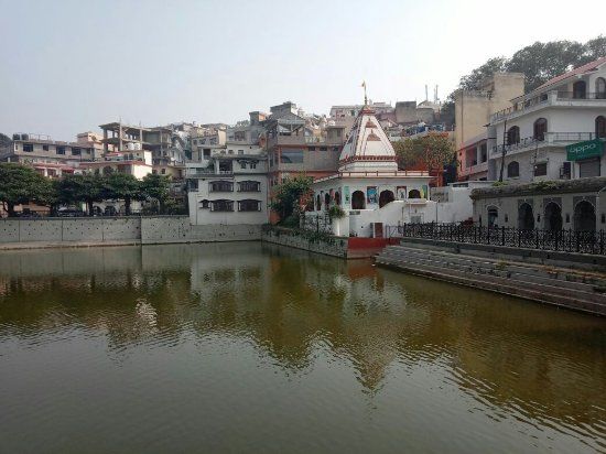 Rani Tal