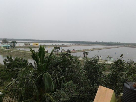 Bakkhali Watch Tower