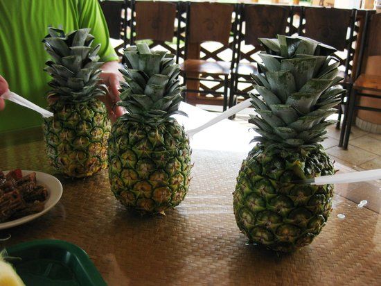 Finca Corsicana Pineapple Farm