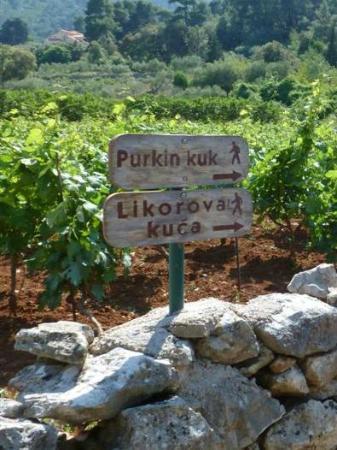 Purkin Kuk