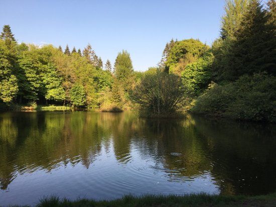 Dun A Ri Forest Park