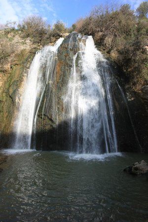 Iyon Stream Nature Reserve