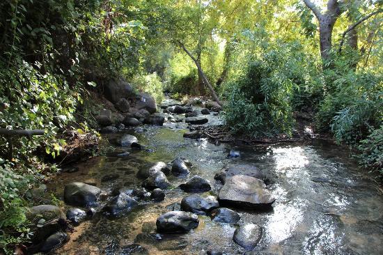 Nahal Snir Nature Preserve