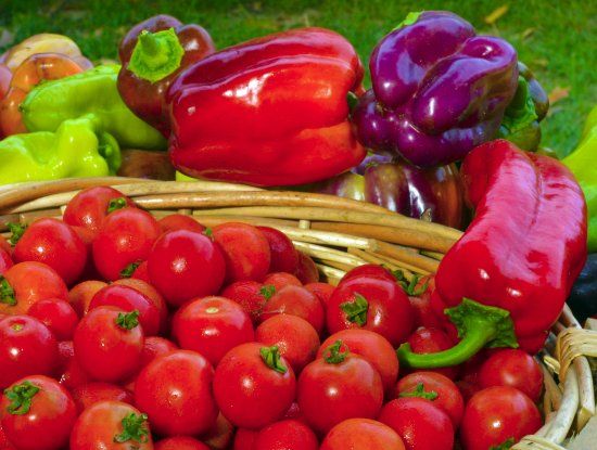 Hawkes Bay Farmers Market