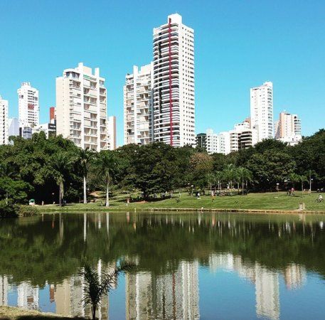 Municipal Park Flamboyant