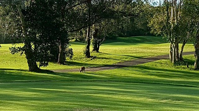 Twin Waters Golf Club