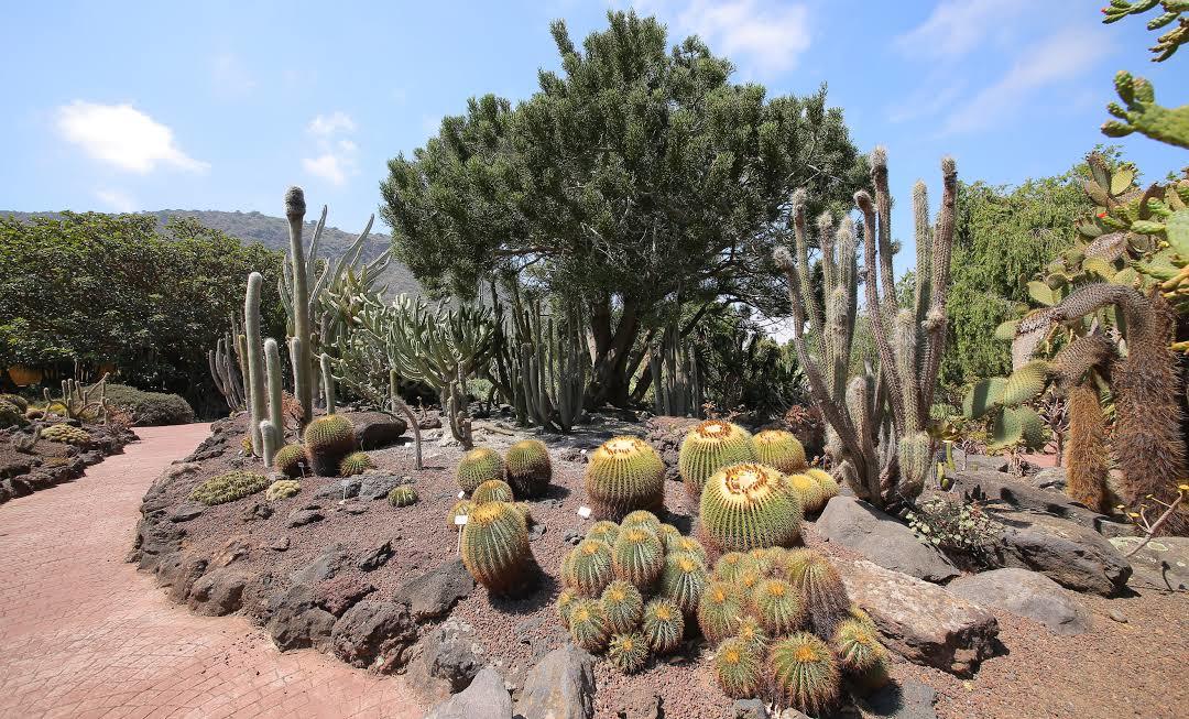 Jardin Botanico Historico La Concepcion