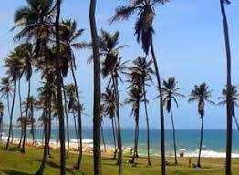 Praia de Armação