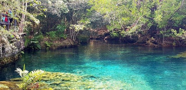 Indigenous Eyes Ecological Reserve