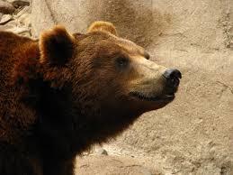 Mendoza Zoological Park