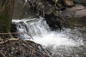 Naturschutzgebiet Kacze Legi