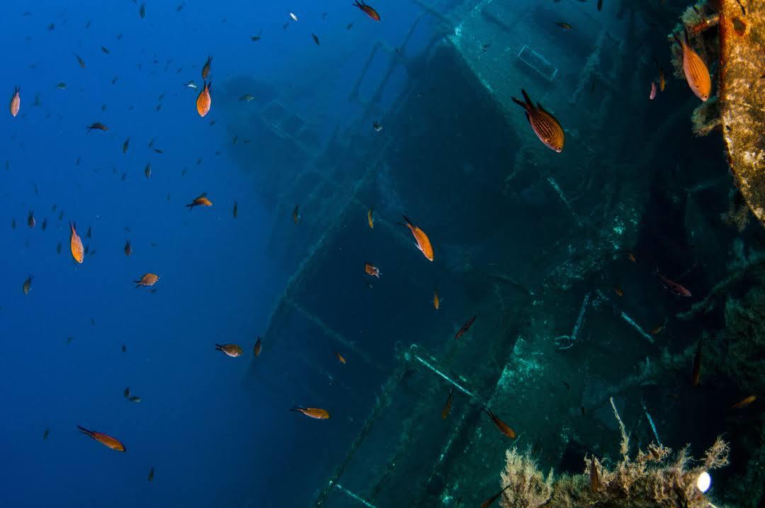 M/S Zenobia