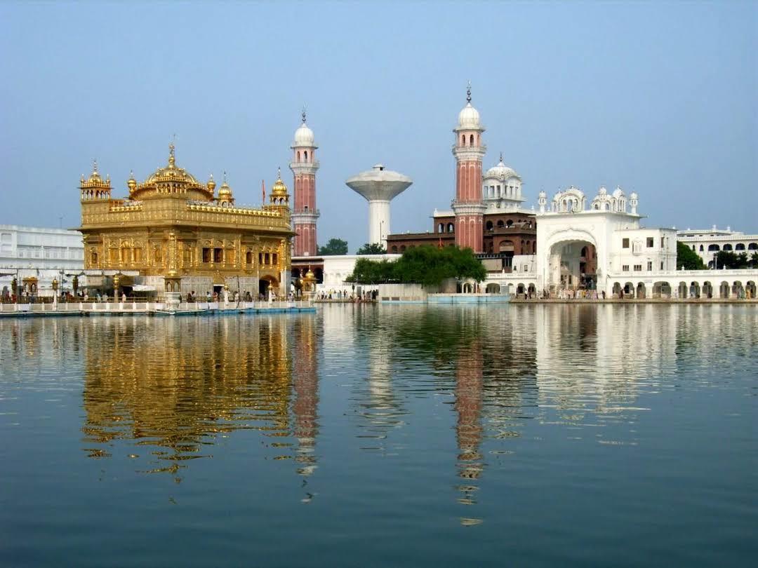 Dukh Bhanjani Ber Tree