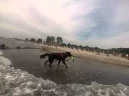 Hundestrand Gromitz