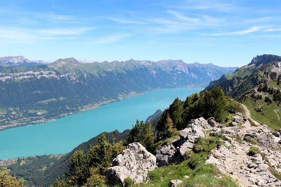 Schynige Platte