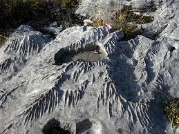 Riserva Naturale del Monte Orsario