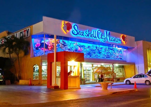 Sea Shell City