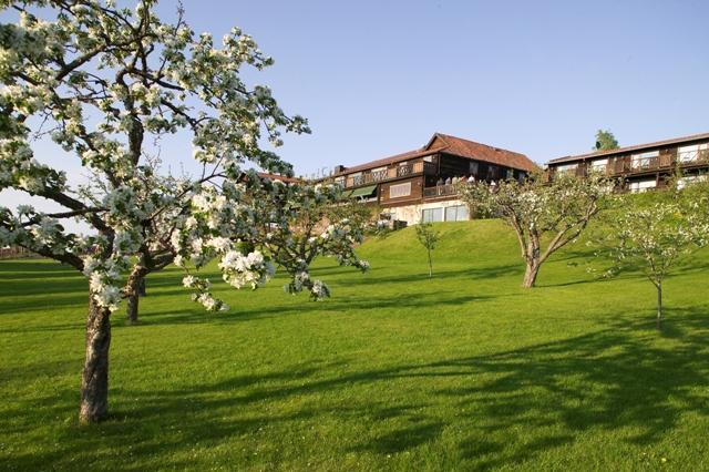 Green Hotel