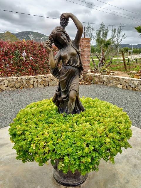 Lechuza Vineyard