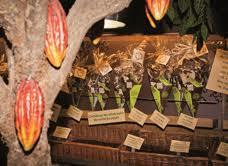 L'Atelier du Chocolat