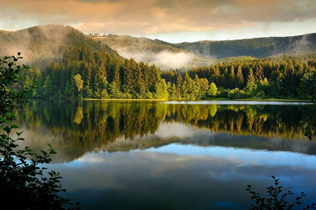 Nationalpark Harzen