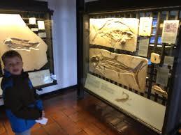 Jura-Museum