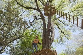 Saltalbero Adventure Park