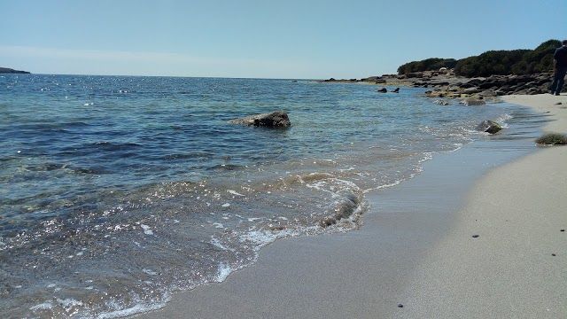 Isola di San Pietro