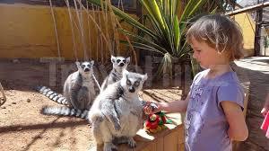 Tenerife Zoo Monkey Park