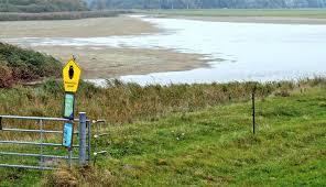 Grune Insel mit Eiderwatt