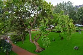 Parcul Alpinet