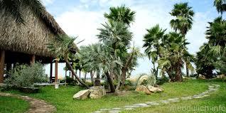 Cồn Khương