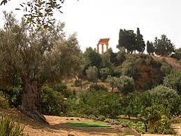 Kolymbetra