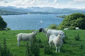 Queen Adelaide's Hill