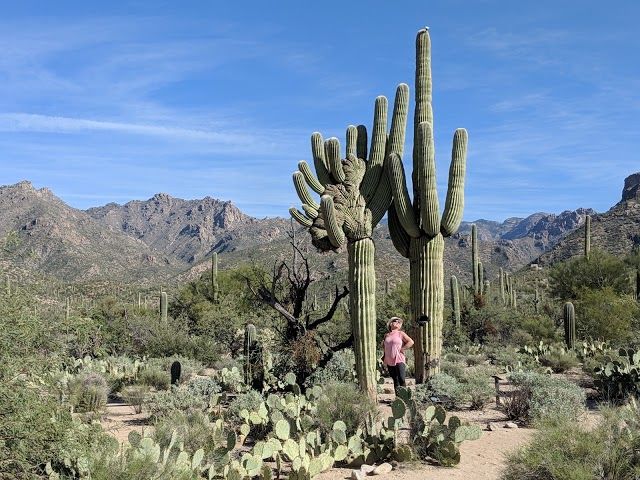 Sabino Canyon Recreation Area