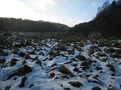 Podmokła