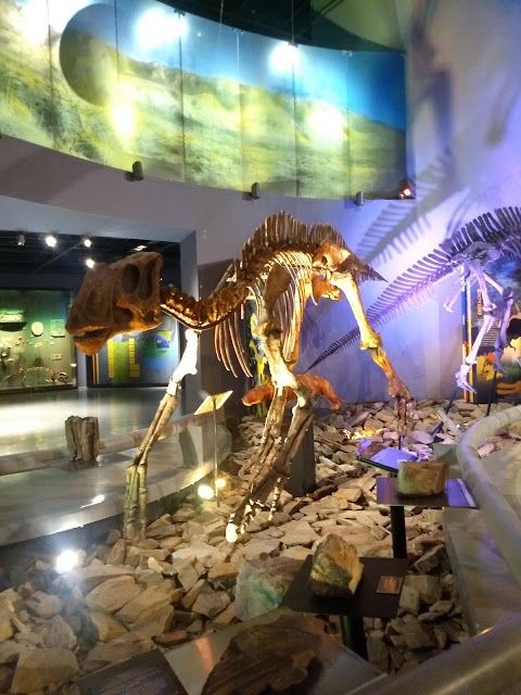 Museum of the Desert