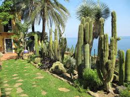 Giardino Esotico Pallanca