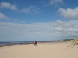 Praia Chihuahua