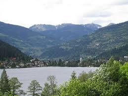 Brennsee