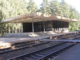 Jaundubulti