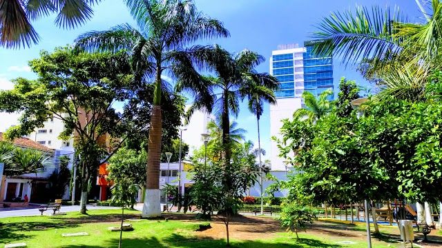 Parque Las Palmas