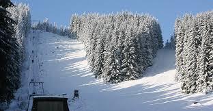 Ski Alpinum Schulenberg