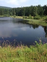 Zankwieser Teich