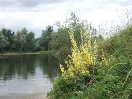 Etang Royal