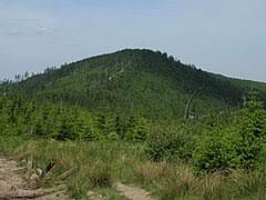 Malinów