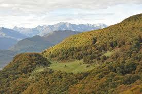 Réserve Naturelle Régionale du massif du Pibeste-Aoulhet