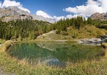 Majingsee